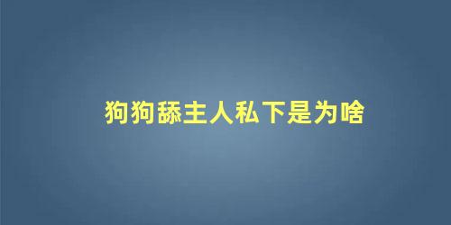 狗狗舔主人私下是为啥